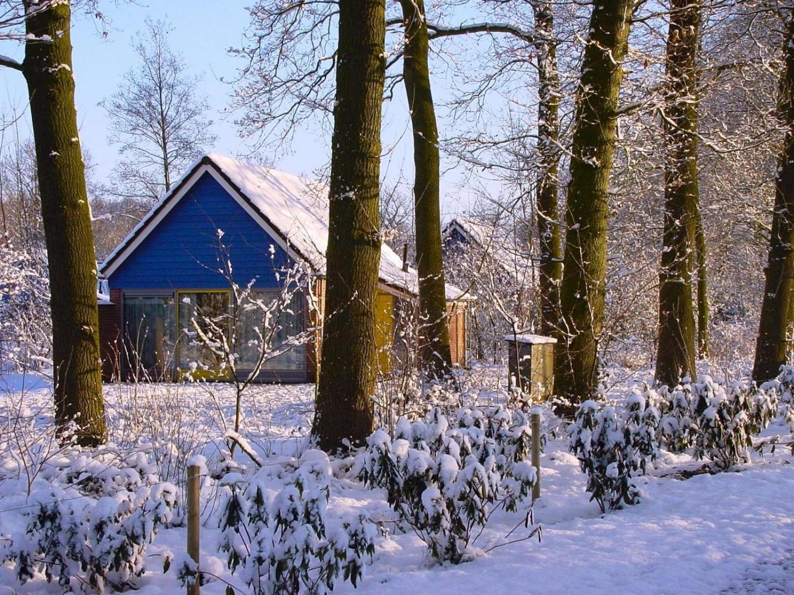 Vakantiepark Sallandshoeve Nieuw-Heeten Exterior photo